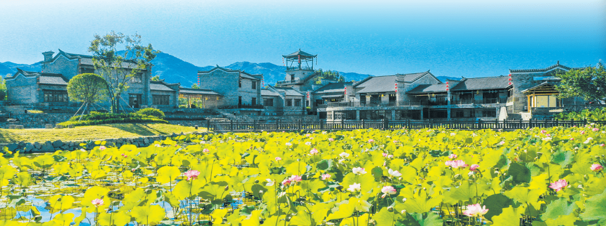 上津道荷塘 钟建华摄